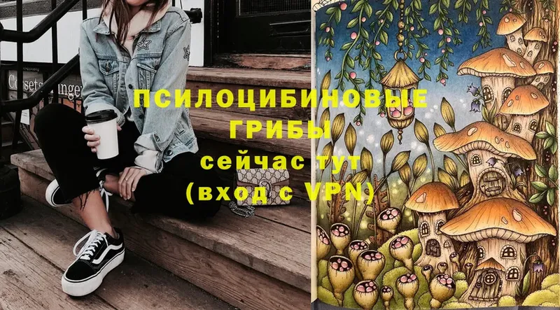 Галлюциногенные грибы Psilocybine cubensis  Гулькевичи 